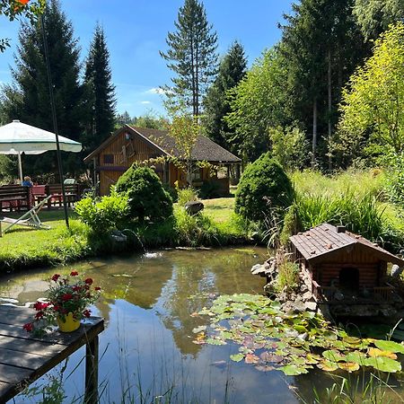 Villa Am Paulsberg Mit Sauna - V4 Braunlage Exterior photo