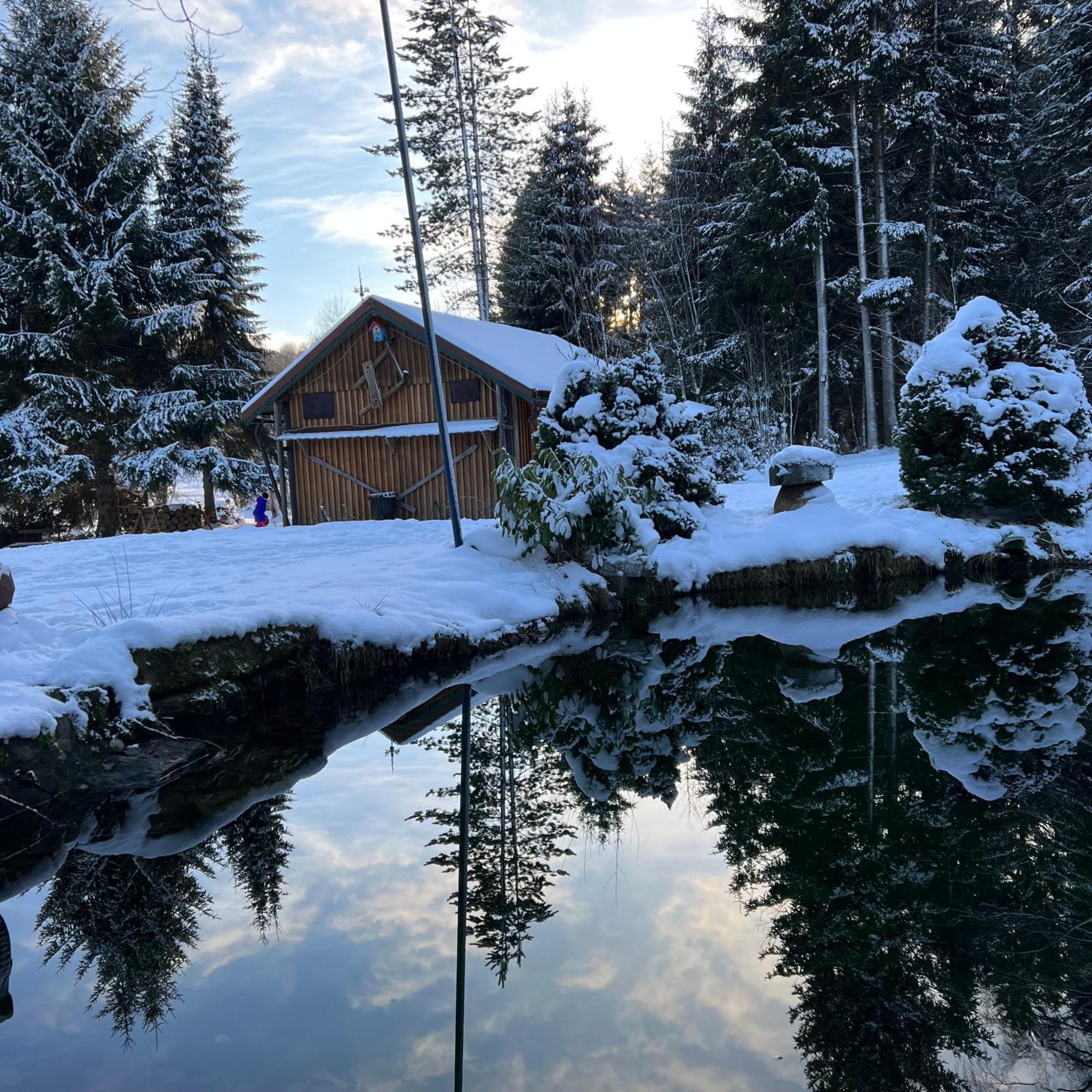 Villa Am Paulsberg Mit Sauna - V4 Braunlage Exterior photo